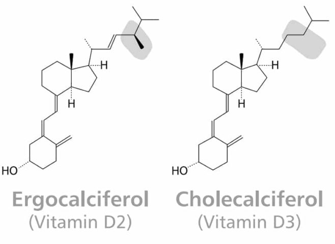 Diferença de estrutura e formação entre a vitamina D2 (ergocalciferol) e a vitamina D3 (colecalciferol).