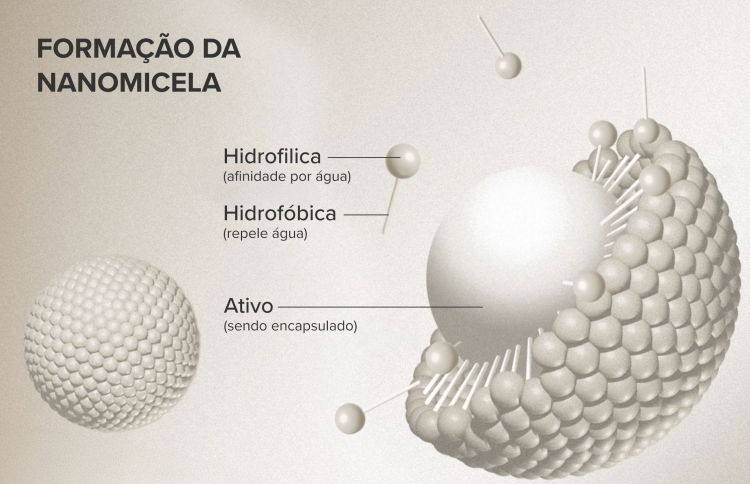 Imagem de um infográfico explicando a formação da nanomicela que possui diferentes partes: hidrofílica, hidrofóbica e o ativo encapsulado no núcleo.