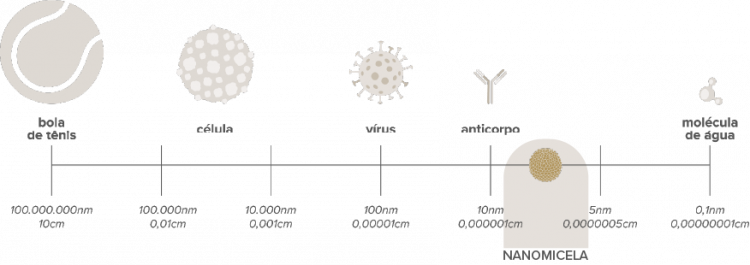 Imagem de um infográfico mostrando o tamanho de uma nanomicela em comparação a uma bola de tênis, uma célula, um vírus, um anticorpo e uma molécula de água. A nanomicela é menor que um anticorpo.
